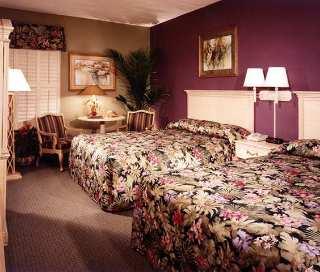 Hotel Hampton 3*